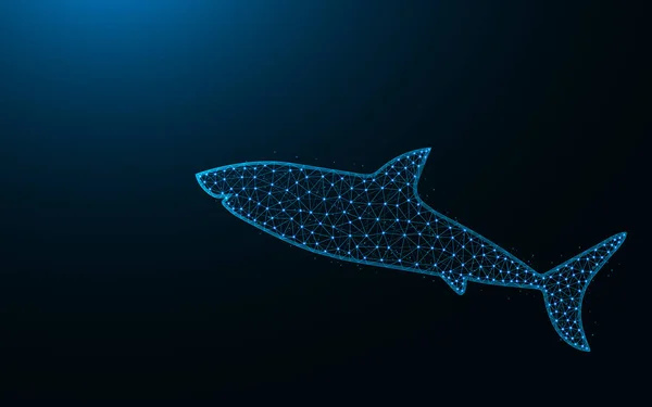Köpekbalığı düşük poli simgesi, deniz yırtıcısı geniş açılı ağ çokgen çizimi koyu mavi arkaplan üzerindeki nokta ve çizgilerden yapılır — Stok Vektör