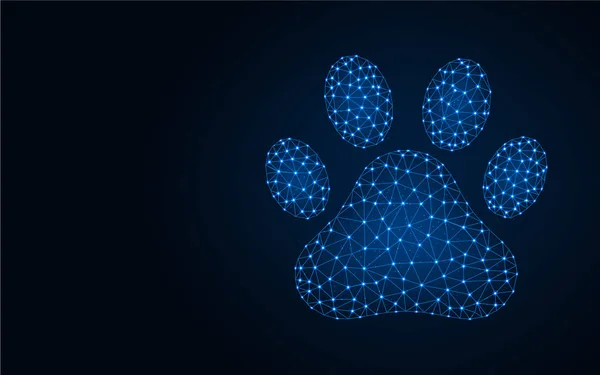 Huellas de mascotas de bajo diseño poli, gato y perro pata animal imagen geométrica abstracta, ilustración vectorial hecha de puntos y líneas sobre fondo azul oscuro — Vector de stock