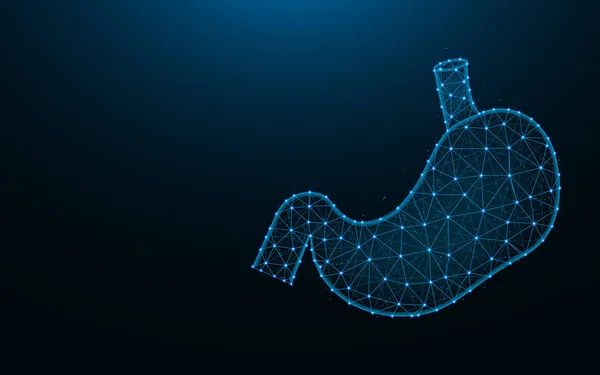 Stomaco basso disegno poli, rete wireframe organo umano vettore poligonale illustrazione fatta da punti e linee su sfondo blu scuro — Vettoriale Stock