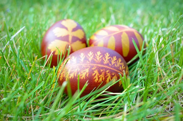 Huevos de Pascua pintados  . —  Fotos de Stock