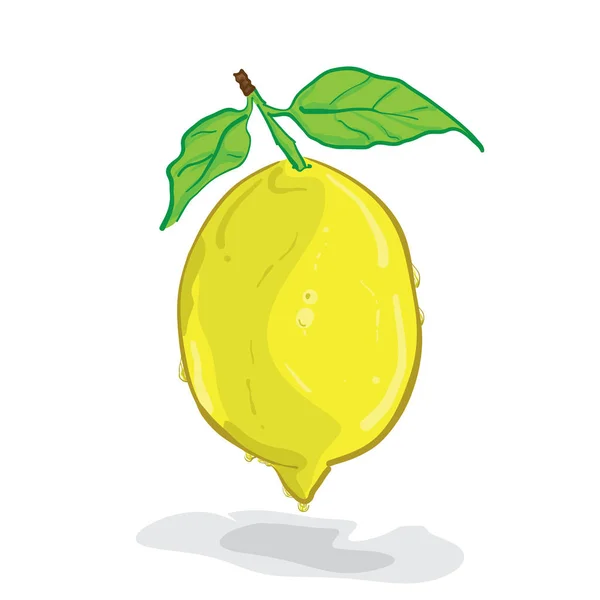 Графический дизайн объектов лимона фруктов — стоковый вектор