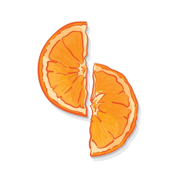 Obst Orange Zeichnung Grafik — Stockvektor