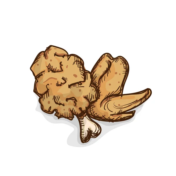 Objeto de dibujo de pollo frito — Vector de stock