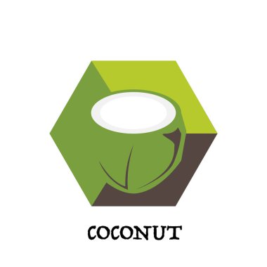 meyve Hindistan cevizi grafik öğesi tasarım anahtar görsel simgesi simgesi