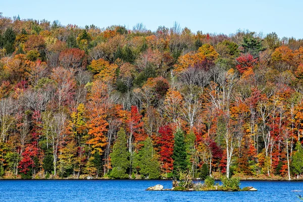 Colores otoñales con lago y cielo azul — Foto de Stock