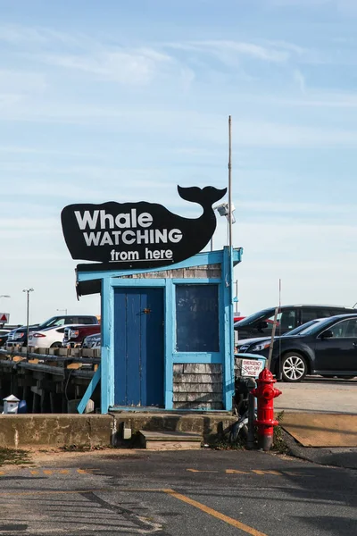 Señal de observación de ballenas en Provincetown en Cape Cod — Foto de Stock