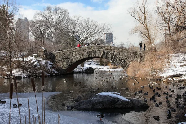 Central 'da taş köprü ve ufuk çizgisi manzaralı kış günü manzarası