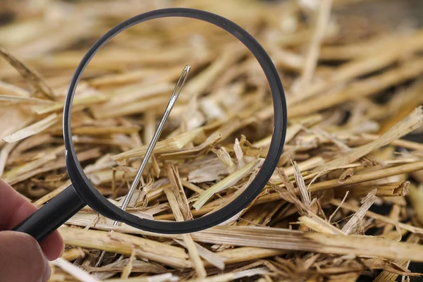 Naald Verloren Hooiberg Zoeken Met Loupe — Stockfoto