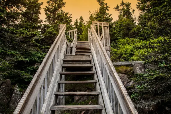 木制楼梯 背面有橙色熔岩色 — 图库照片