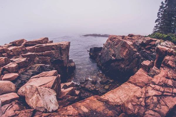 Mist Met Rotsachtige Kust Acadia Zomer — Stockfoto