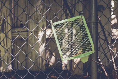 Boya şebekesi tel örgülerden sarkıyor.