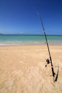 Olta kamışı sahilde