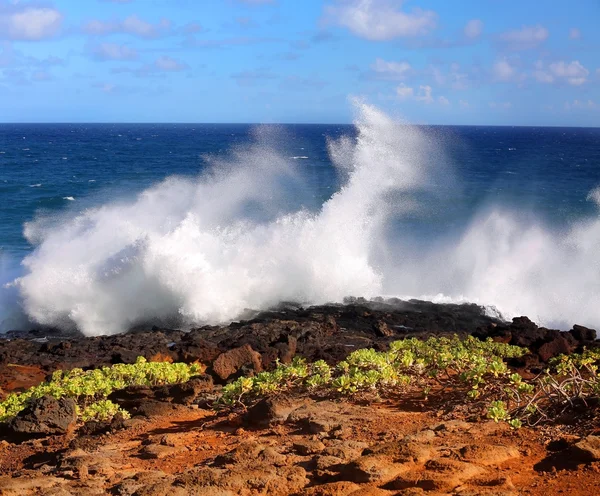 Kauaian の海岸線、ハワイ — ストック写真