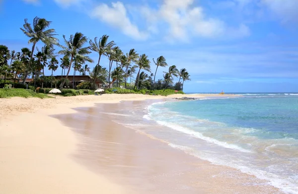 I Poipu beach inga människor — Stockfoto