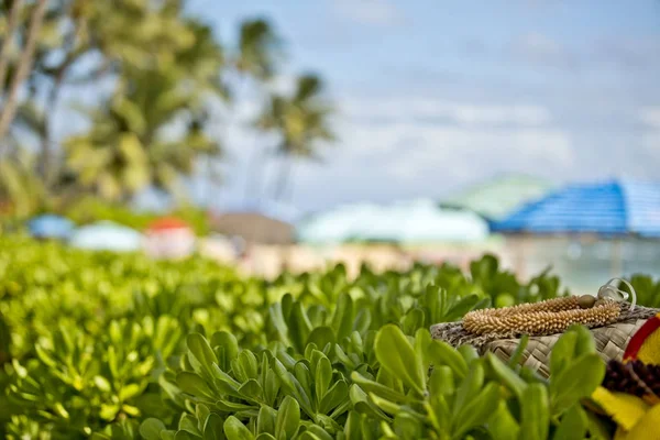 Pláž na Hawaii — Stock fotografie