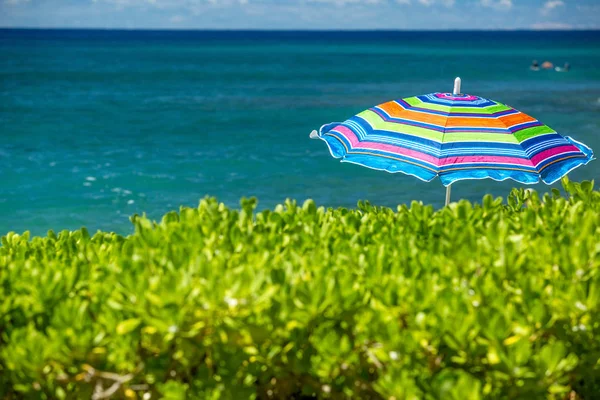 Der tropische sonnige Strand bunter Sonnenschirm — Stockfoto