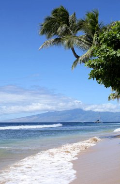 Tropikal plaj, Lahaina, Hawaii dağlara görünümün dikey görüntü