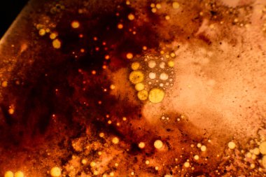 Virüs bakteri kültürü mikroskop altında