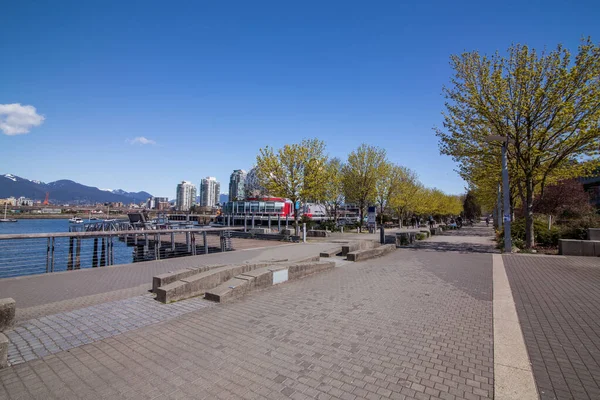 Vancouver Canada May Beautiful City View False Creek Park People —  Fotos de Stock