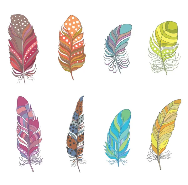 Set of Colorful Decorative Bird Feather for Boho Style. Vector. — Stock Vector