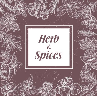 Otlar ve baharatlar etiket. Ambalaj için oyma resimler.