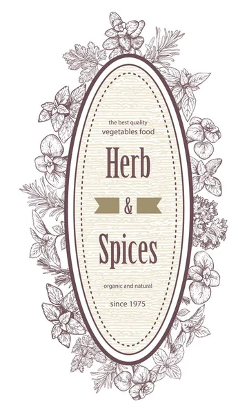 Örter och kryddor etikett. Gravyr illustrationer för förpackningar. — Stock vektor