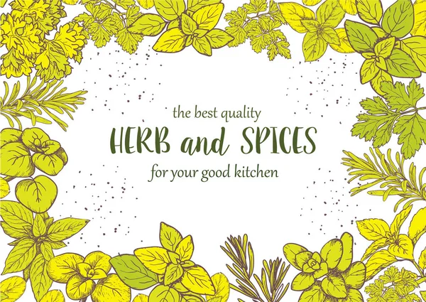 Étiquette herbes et épices. Illustrations de gravure pour emballage . — Image vectorielle