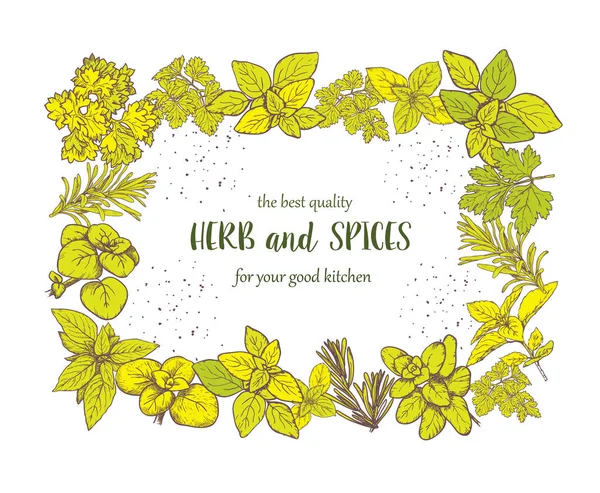 Étiquette herbes et épices. Illustrations de gravure pour emballage . — Image vectorielle