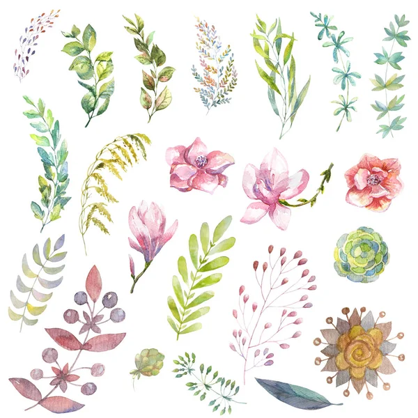 Elementos de diseño floral de primavera. Conjunto de hojas, ramas — Foto de Stock