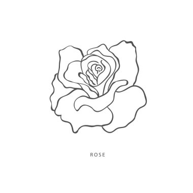 Yeşillik tasarım elementleri. Botanik logoları.