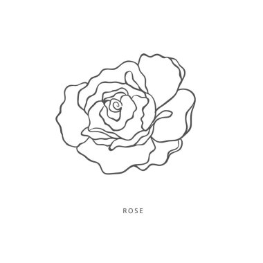 Yeşillik tasarım elementleri. Botanik logoları.