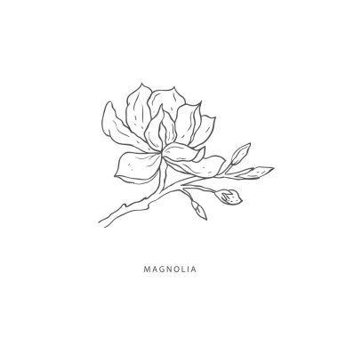 Yeşillik tasarım elementleri. Botanik logoları.