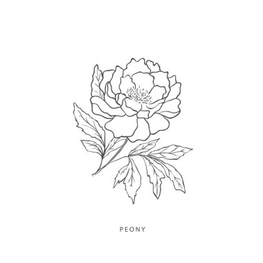 Yeşillik tasarım elementleri. Botanik logoları.