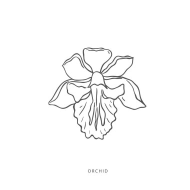 Yeşillik tasarım elementleri. Botanik logoları.