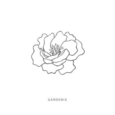 Yeşillik tasarım elementleri. Botanik logoları.