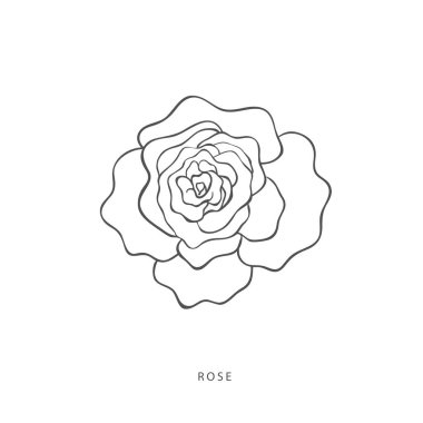 Yeşillik tasarım elementleri. Botanik logoları.