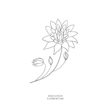 Yeşillik tasarım elementleri. Botanik logoları.