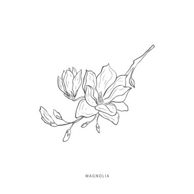 Yeşillik tasarım elementleri. Botanik logoları.