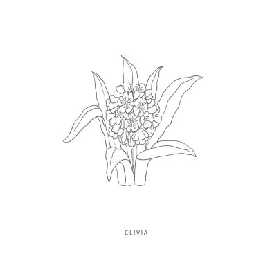 Yeşillik tasarım elementleri. Botanik logoları.