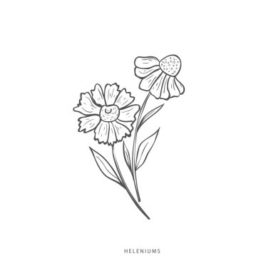 Yeşillik tasarım elementleri. Botanik logoları.