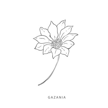 Yeşillik tasarım elementleri. Botanik logoları.