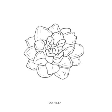 Yeşillik tasarım elementleri. Botanik logoları.