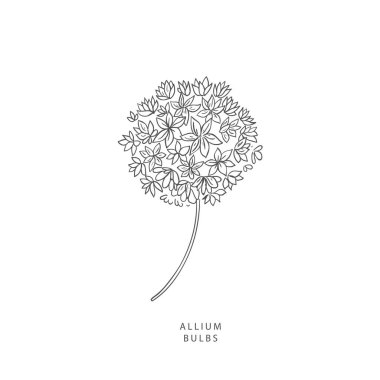 Yeşillik tasarım elementleri. Botanik logoları.