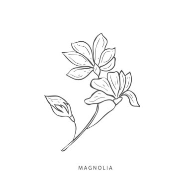 Yeşillik tasarım elementleri. Botanik logoları.