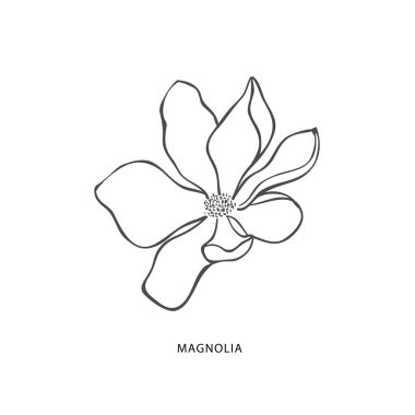 Free Magnolia Flower Svg Free SVG PNG EPS DXF File