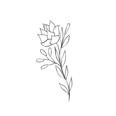 El yapımı bitki dalları. Yeşillik tasarım elementleri. Botanik logoları.