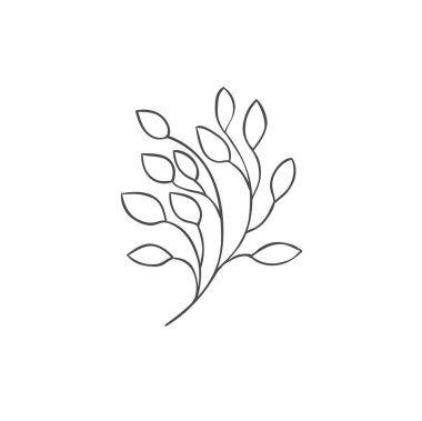 El yapımı bitki dalları. Yeşillik tasarım elementleri. Botanik logoları.