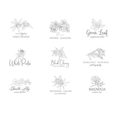 Botanik çiçek logosu seti. Çiçekler ve dallar.
