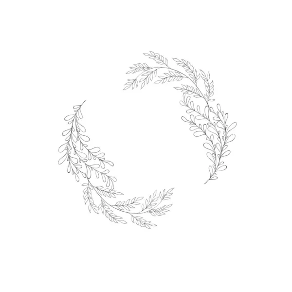 Botanisch frame en monogram van bloemen. — Stockvector