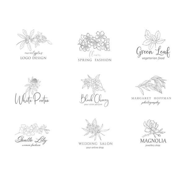Conjunto de logotipo floral botánico. Flores y ramas . Gráficos vectoriales